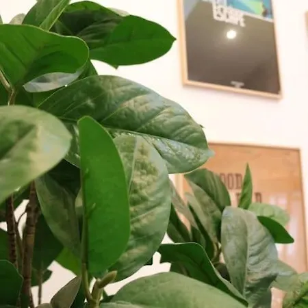 Cosy 2 / Pere-lachaise