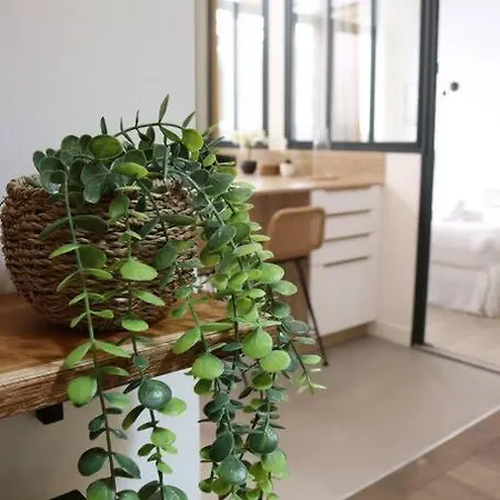 Cosy 2 / Pere-lachaise Paris